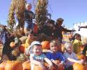 031018_pumpkin.group_125.jpg