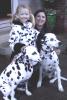 031213_bb.w.les.n.dogs_125.jpg