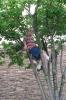 080607_chic13.ttree_125.jpg