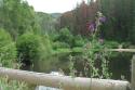 080727_trailscape02_125.jpg